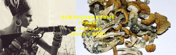 мдпв Вяземский