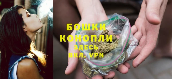 мдпв Вяземский