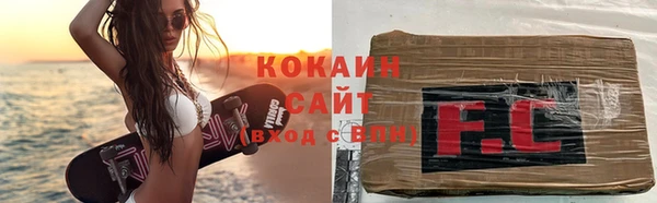 мдпв Вяземский