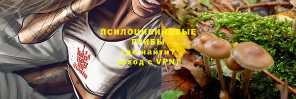 мдпв Вяземский